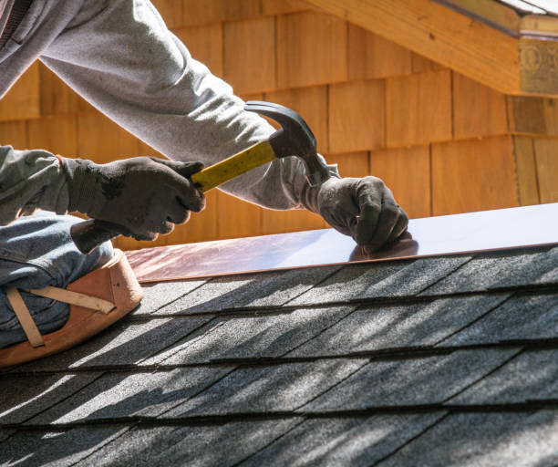 Best Flat Roof Repair Services  in Pardeeville, WI